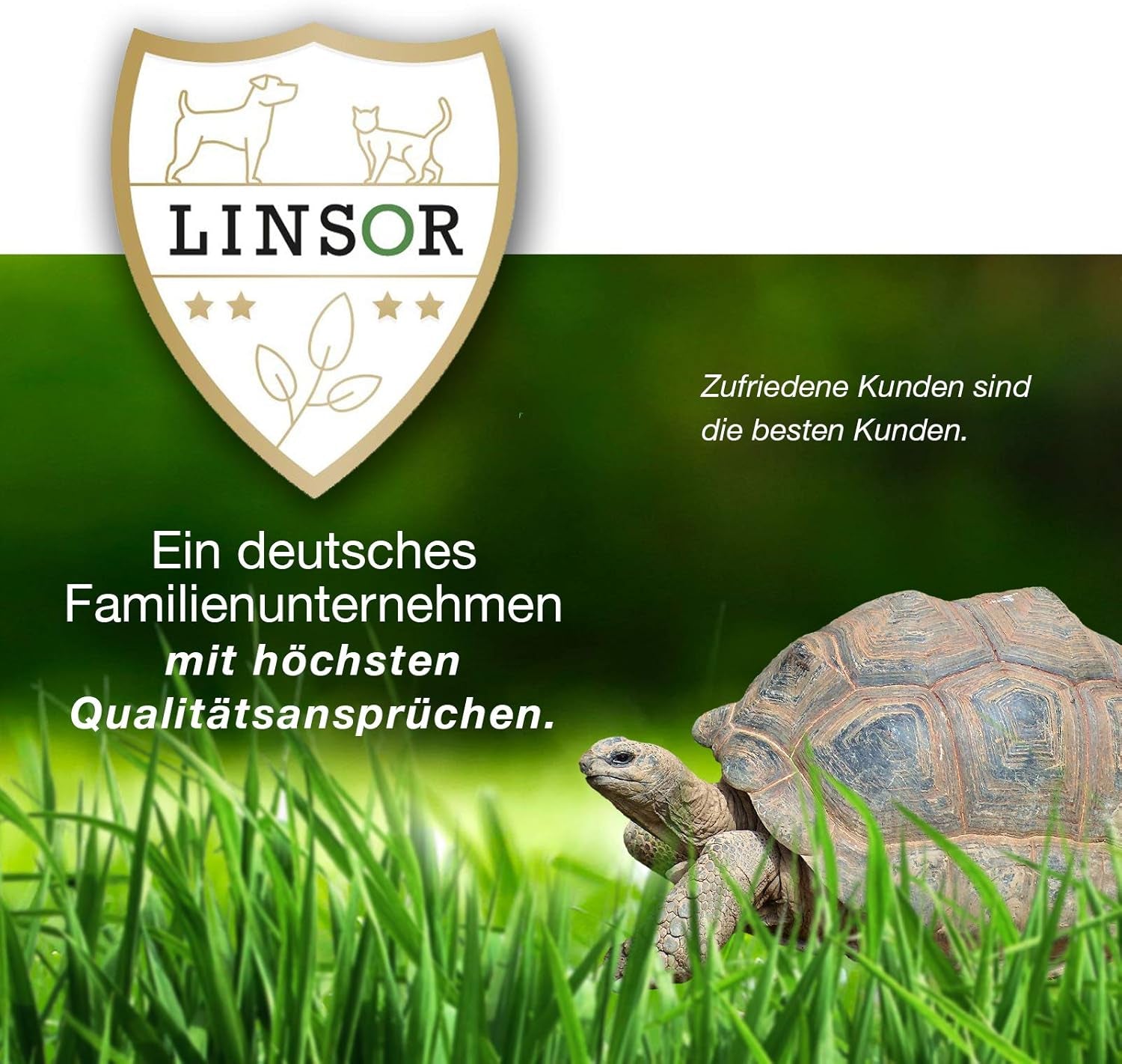 Gründüngung Frühlingsaussaat, Stickstoffreich Humusbildend, 1Kg Für 333M²