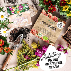 Bio-Blumensamen-Set | 12 Sorten Blumensamen | Premium-Blumensamen | Wildblumensamen-Pflanzensamen-Set | Blumensamen | Blumensamen für den Balkon | Ideales Geschenk mit Blumensamen