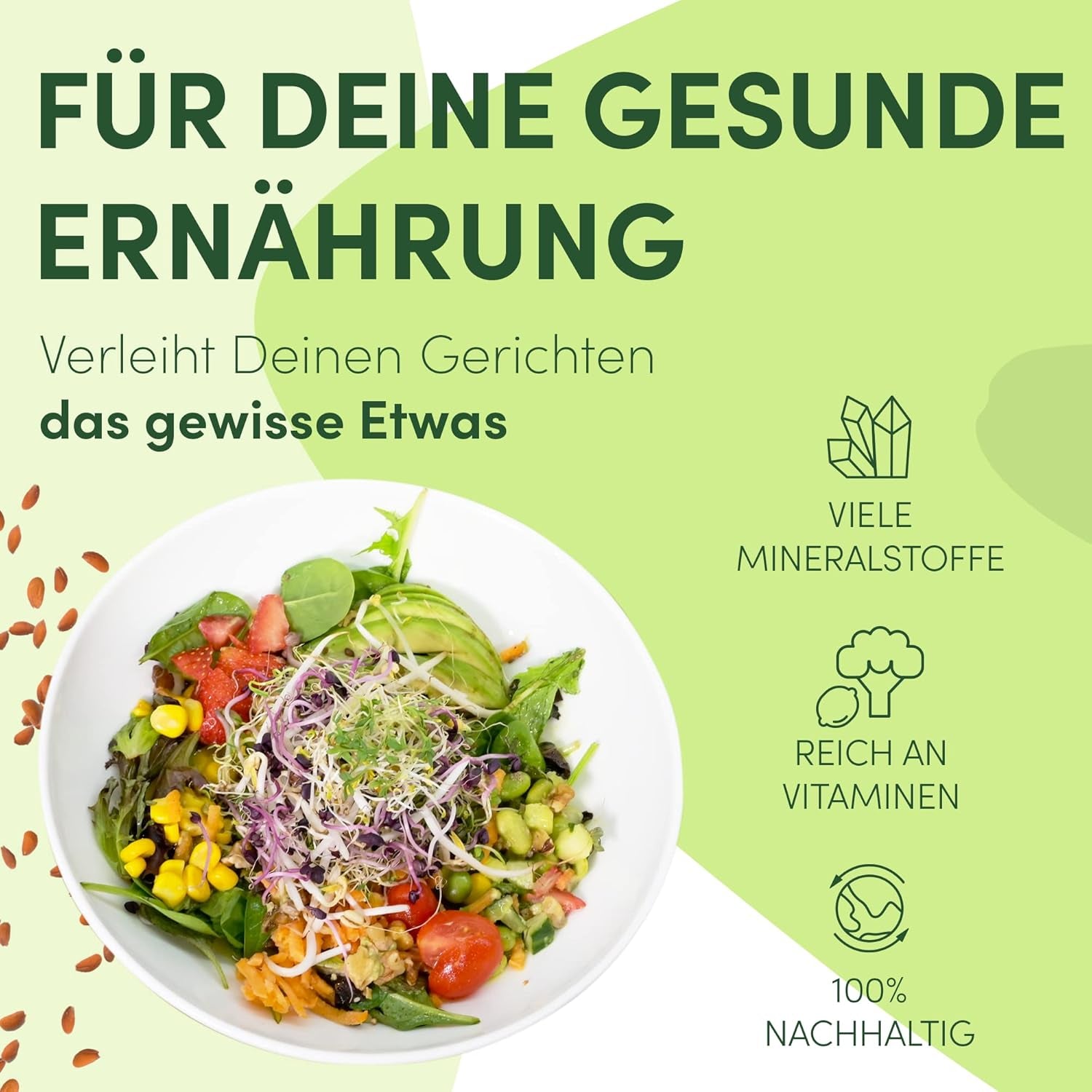 [Original Starterset mit Sprossenglas + Brunnenkressesieb | 1000 ml mit hochwertiger Edelstahl-Netzabdeckung, Ständer, Keramikschale + ABC für die Keimung. [Druckversion] Sämlingsschale mit Keimglas