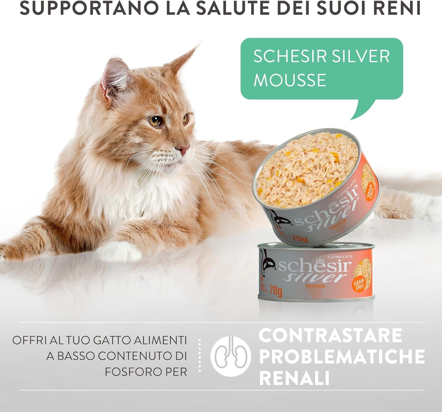 Silver, Pui cu Mousse de Rață și Fileuri, Hrană Umedă Completă pentru Pisici Senior, Fără Cereale, Suport Imunitar, Sursă de Umiditate, 12 x 70g