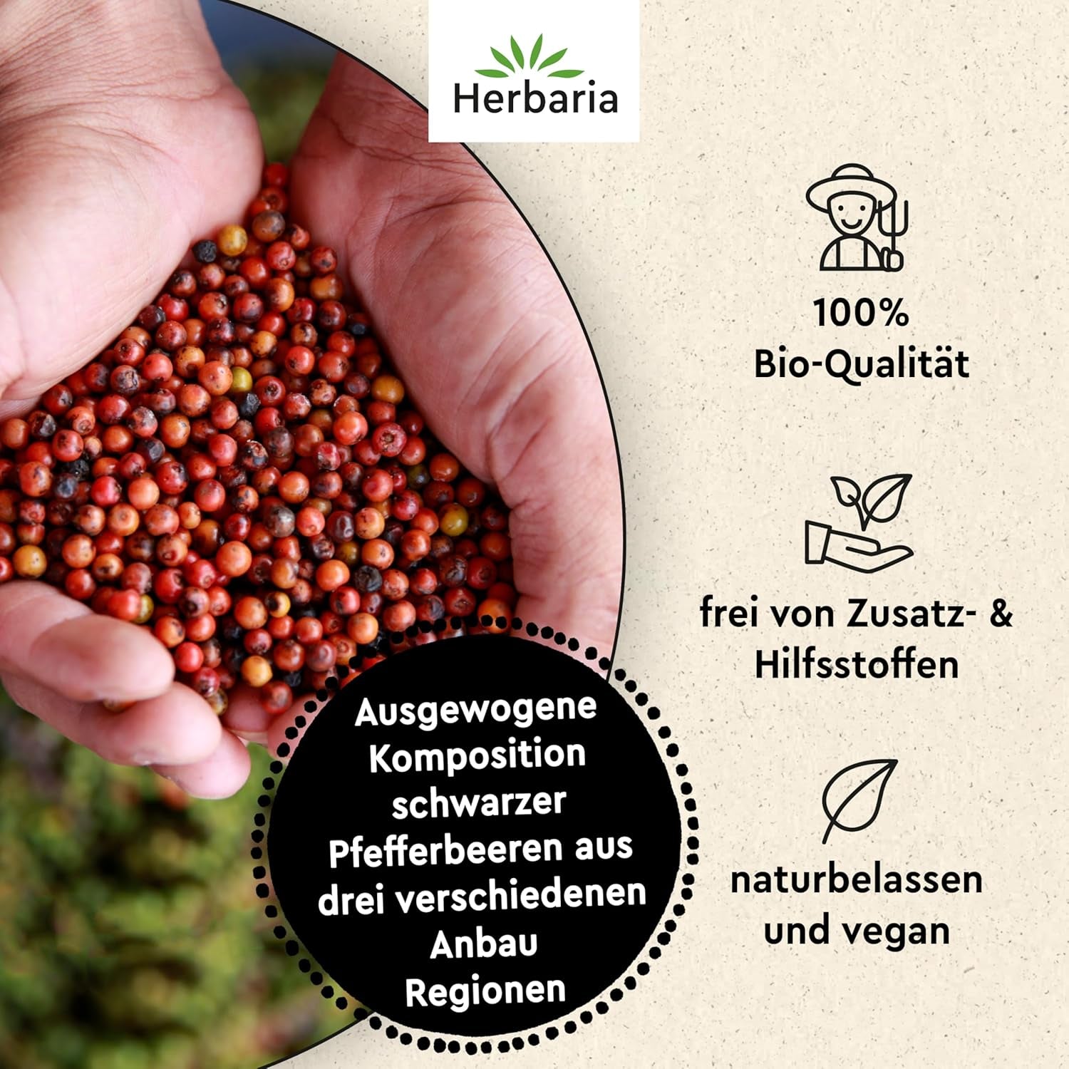 Herbaria Trio Noir bio 75g M-Dose – Bio Pfeffer schwarz ganz – ganze Pfefferbeeren – schwarze Pfeffermischung aus biologischem Anbau von drei verschiedenen Regionen – in nachhaltiger Aromaschutz-Dose