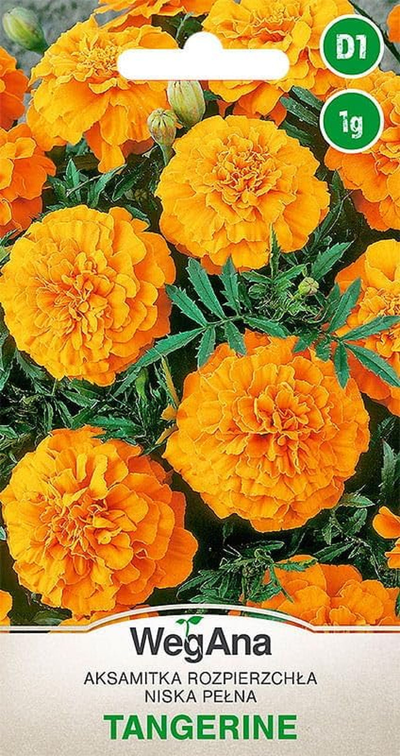 Cosmos Sensation Mix 1g Samen, Cosmos Mix Sommerblumen, Gartenpflanzen Balkonpflanzen, Blumensamen