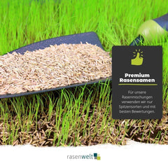 ARENA Poa Supina Superior Rasensamen Mit Keimbeschleuniger 3Kg I Premium Schattenrasen I Tiefschnittverträglich Und Schnelkeimend