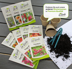 La Verde MEIN GARTEN UND ICH. Tagetes Bonita Blumensamen mischen für ca. 100 Pflanzen, langblühende Ringelblumen, gefüllte Blüten, gentechnikfreie Samen