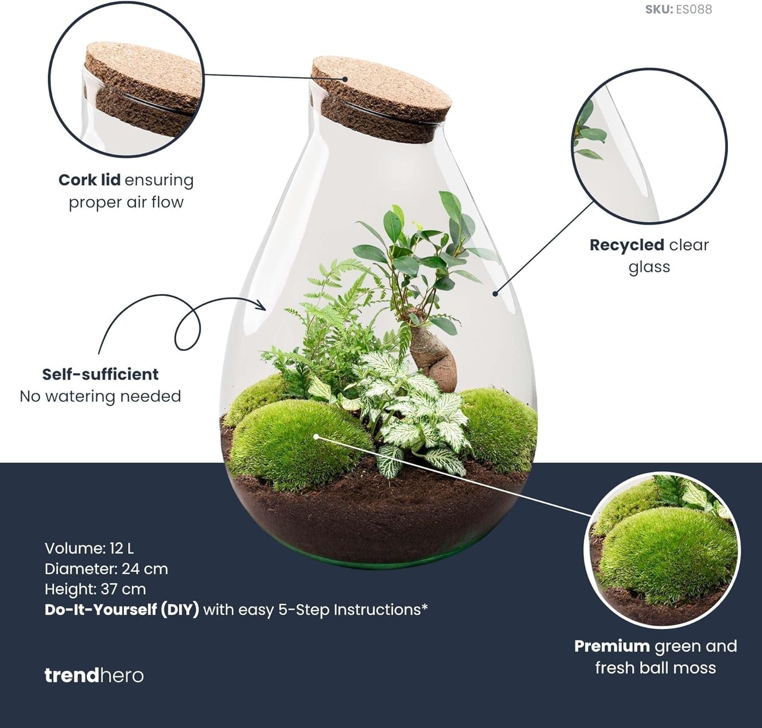 Urbanjngl - Drop XL Terrarium Grün - DIY Kit Für Pflanzen - Ø 24 Cm, Höhe 37 Cm - Inklusive Kork - Ideal Für EIN Nachhaltiges Ökosystem