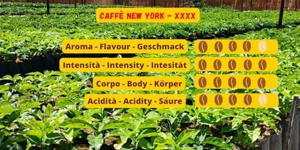 Caffè New York - XXXX - Boabe de cafea, aromă intensă dar fină, Arabica și prăjire medie robustă, pentru măcinare, espresso italian, amestec de bar - calitate înaltă din 1930 - 1 kg, boabe