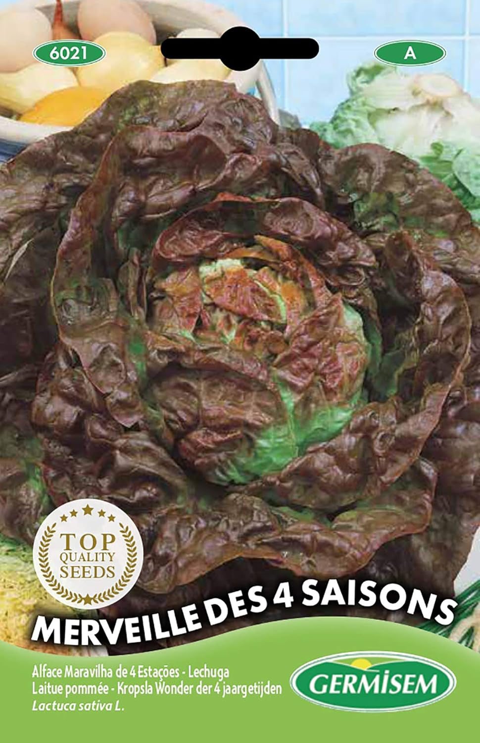 Kopfsalat MARVEL of WINTER, Mehrfarbig, EC6020