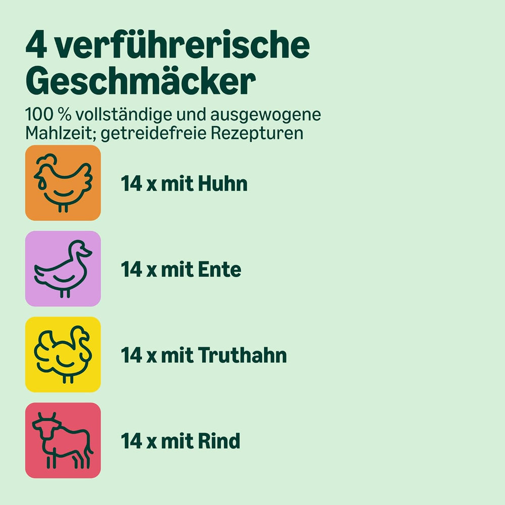 hrană umedă pentru pisici de la Amazon, fără cereale, pentru pisici adulte, selecție de carne în jeleu, 4,76 kg, 56 de pachete a câte 85 g (anterior Lifelong)