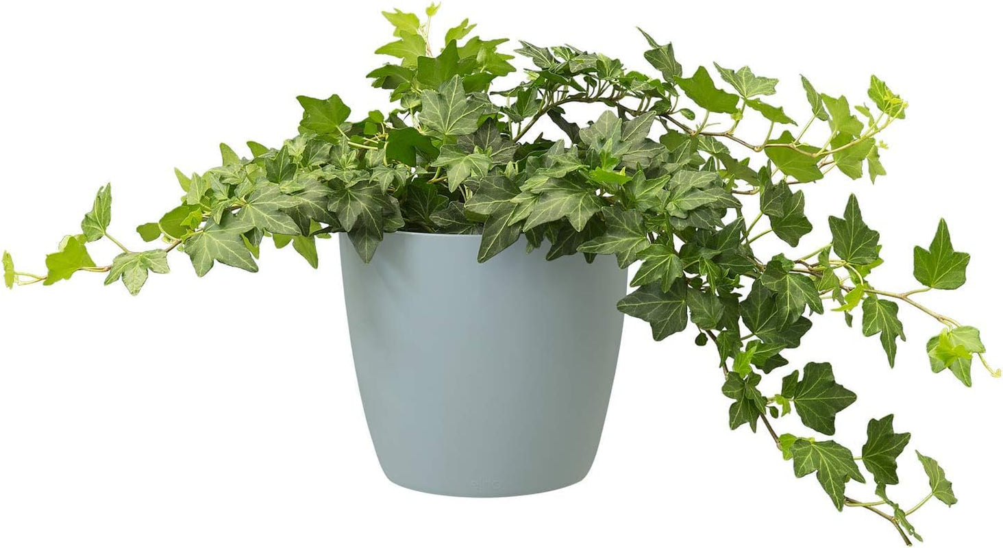 elho Brussels Round Mini 7 - Ghiveci de flori de interior - Ø 6,7 x H 6,0 cm - Verde/Verde Sorbet