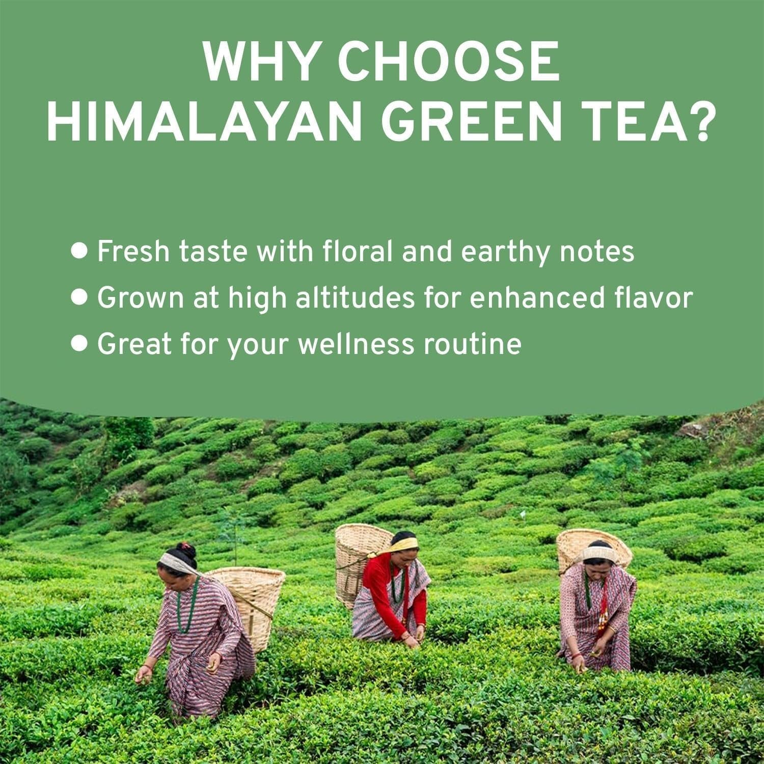 VAHDAM, ceai verde Himalayan (100 g) Ceai verde 100% pur din Himalaya | Fără gluten | Direct de la sursă din India | Preparare fierbinte/rece | Ceai verde vrac