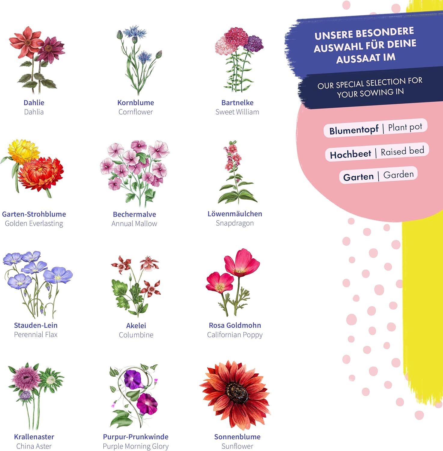 Blumensamen - 12 Samenfeste Bunte Blumensorten Für Den Garten, Das Hochbeet & Den Balkon - Wild & Farbenfroh - Einsteiger-Saatgutset Als Kleines Geschenk Oder Für Den Eigenbedarf