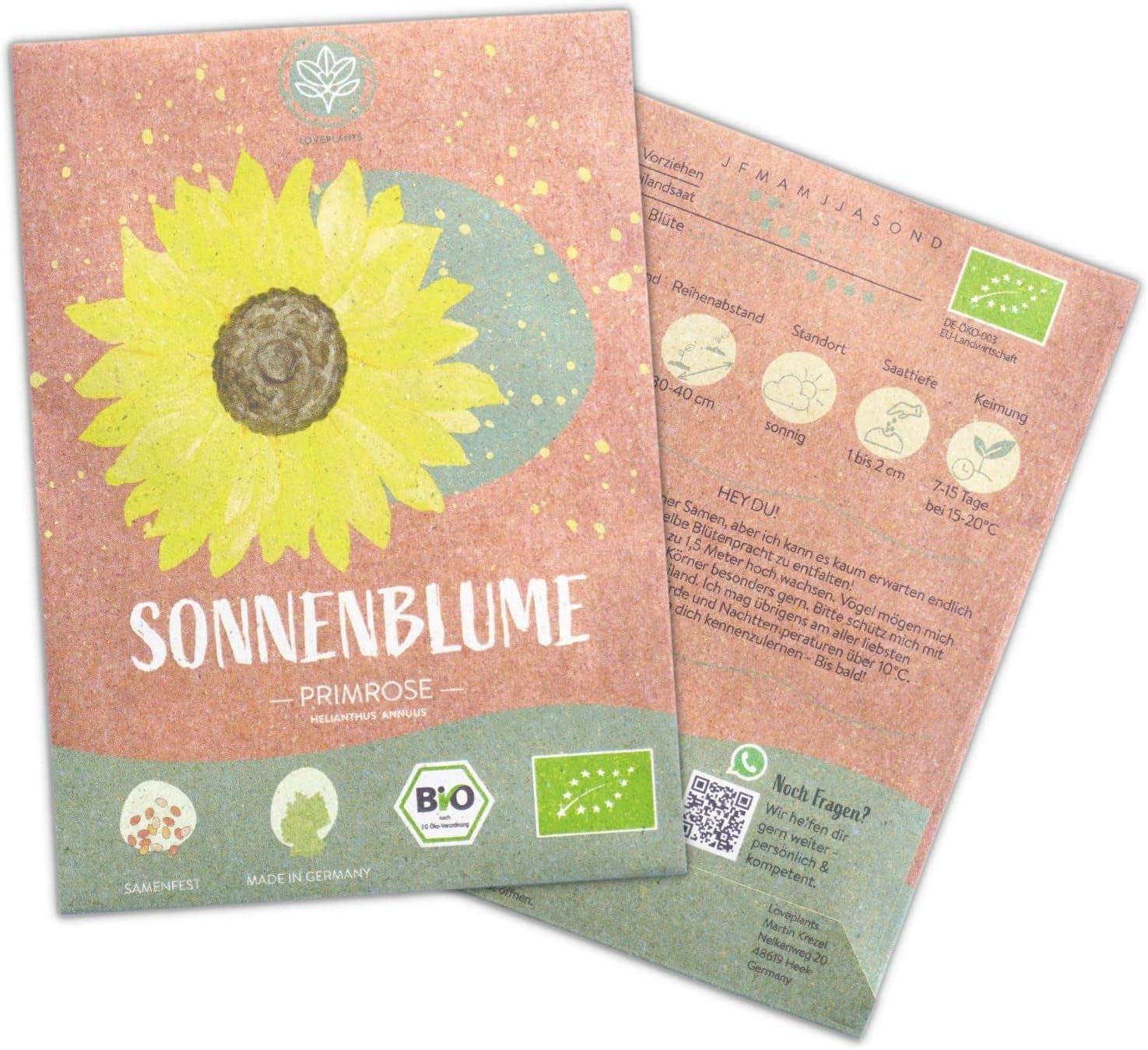 Bio-Sonnenblumenkerne, verzweigt, 20 Sonnenblumenkerne mit hoher Keimrate, Sonnenblumenkerne für den Garten, Balkon, Blumenbeet oder Gastgeschenk. Frei bestäubte Blumensamen.