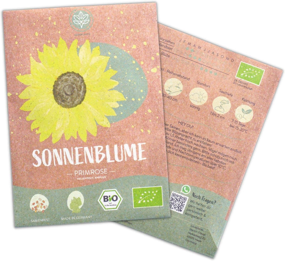 Bio-Sonnenblumenkerne, verzweigt, 20 Sonnenblumenkerne mit hoher Keimrate, Sonnenblumenkerne für den Garten, Balkon, Blumenbeet oder Gastgeschenk. Frei bestäubte Blumensamen.