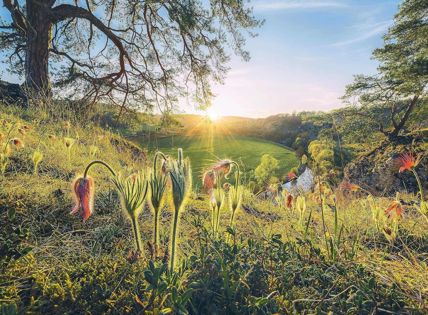 Ravensburger Puzzle - 4 Seasons - 4X 500 piese puzzle jigsaw pentru adulți și copii cu vârsta de peste 12 ani Puzzle Naty Shop