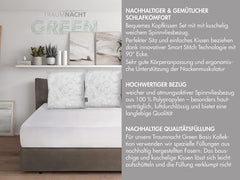 Traumnacht Green Basic Pillow Set format din două perne 80 X 80 Cm, certificat Oeko-Tex, produs în conformitate cu standardul de calitate german Perne standard Naty Shop