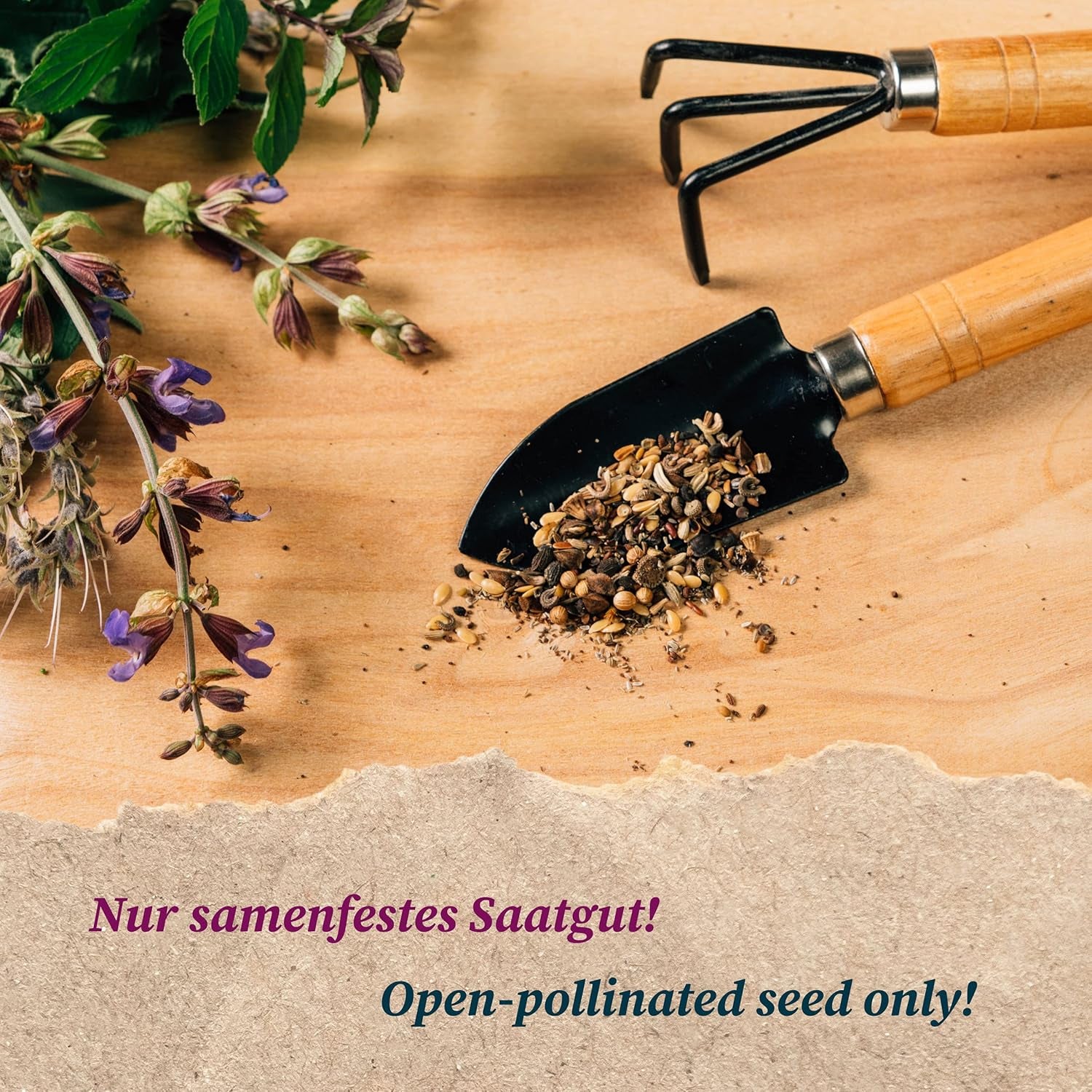 Krallenaster (Callistephus Chinensis) Bio - Ca. 100 Samen Sehr Alte Einjährige Sommerblume Zierpflanze Schnittblume Bienenweide