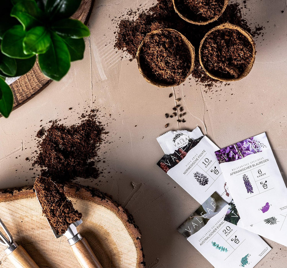 10 Bonsai-Samen aus 5 Kontinenten | Exotische Baumsamen für Ihren einzigartigen Bonsai | Starter-Kit und Pflanzenliebhaber | Unser Bonsai-Set als besondere Geschenkidee