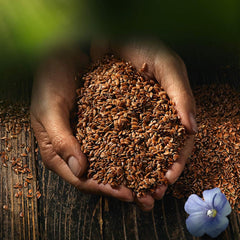 Biozentrale ganze Leinsamen | 7 x 400g Bio-Leinsamen | Ideal für Joghurt, Müsli und Brot | Alternative zu Flohsamen, Hanfsamen und Chiasamen