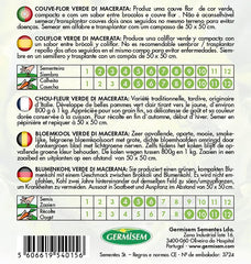 Blumenkohl VERDE DI MACERATA
