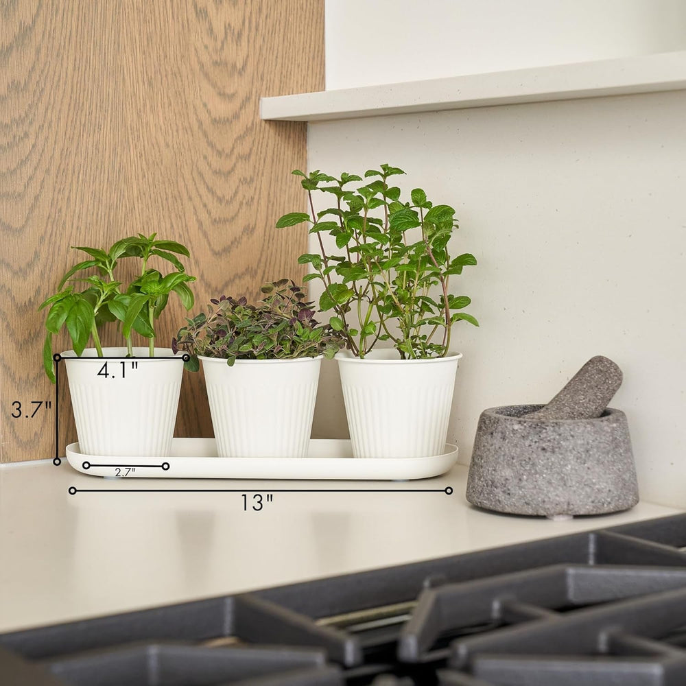 Set de 3 ghivece frumoase pentru grădină de plante aromatice, perfecte pentru orice pervaz sau blat de bucătărie, un set modern de ghivece decorative pentru grădină, inclusiv tavă și...
