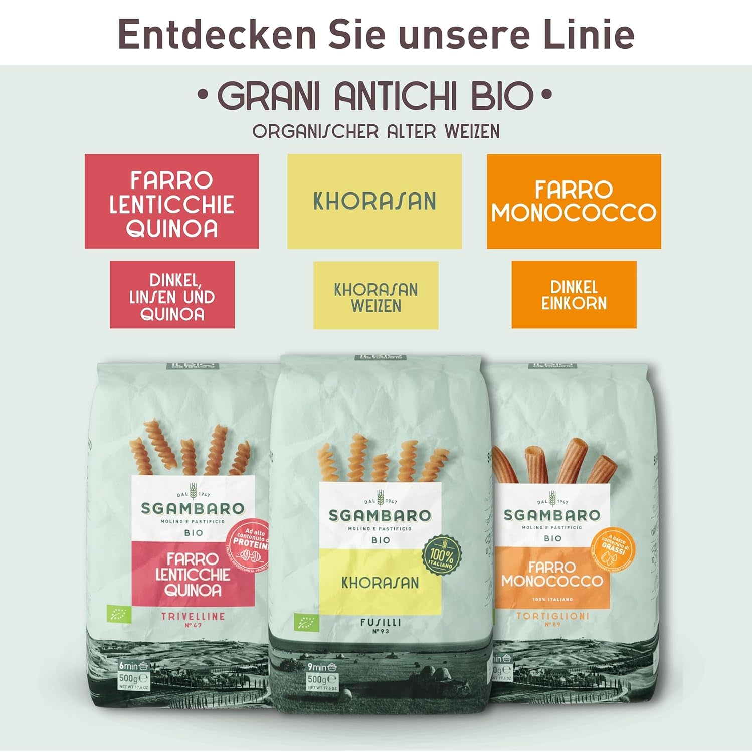 Bio-Nudeln Trivelline N.47 – 500 g mit Dinkelmehl, Linsenmehl und Quinoamehl – ​​Reich an Proteinen, Ballaststoff- und Proteinquelle