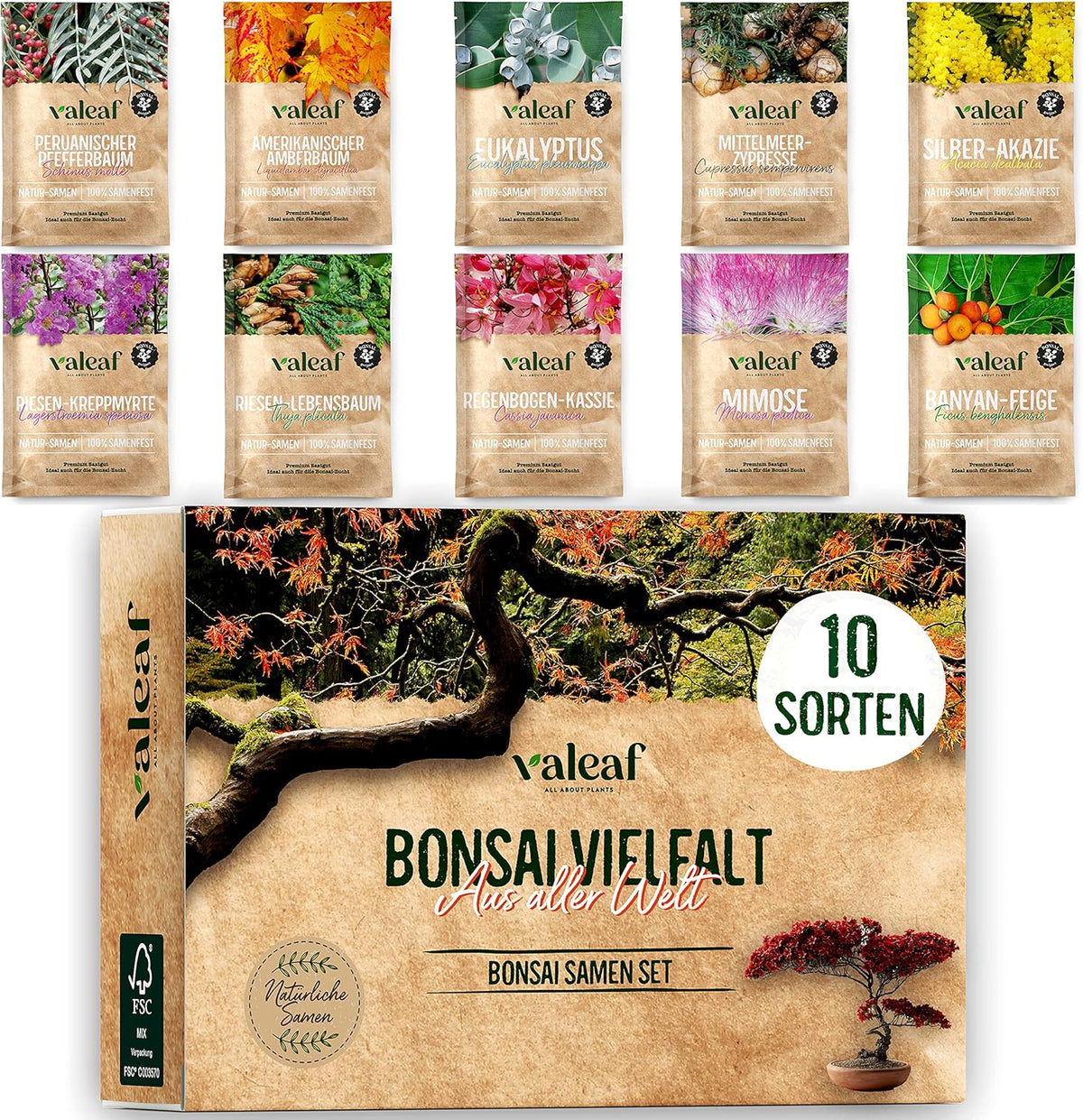 10 Bonsai-Samen aus 5 Kontinenten | Exotische Baumsamen für Ihren einzigartigen Bonsai | Starter-Kit und Pflanzenliebhaber | Unser Bonsai-Set als besondere Geschenkidee