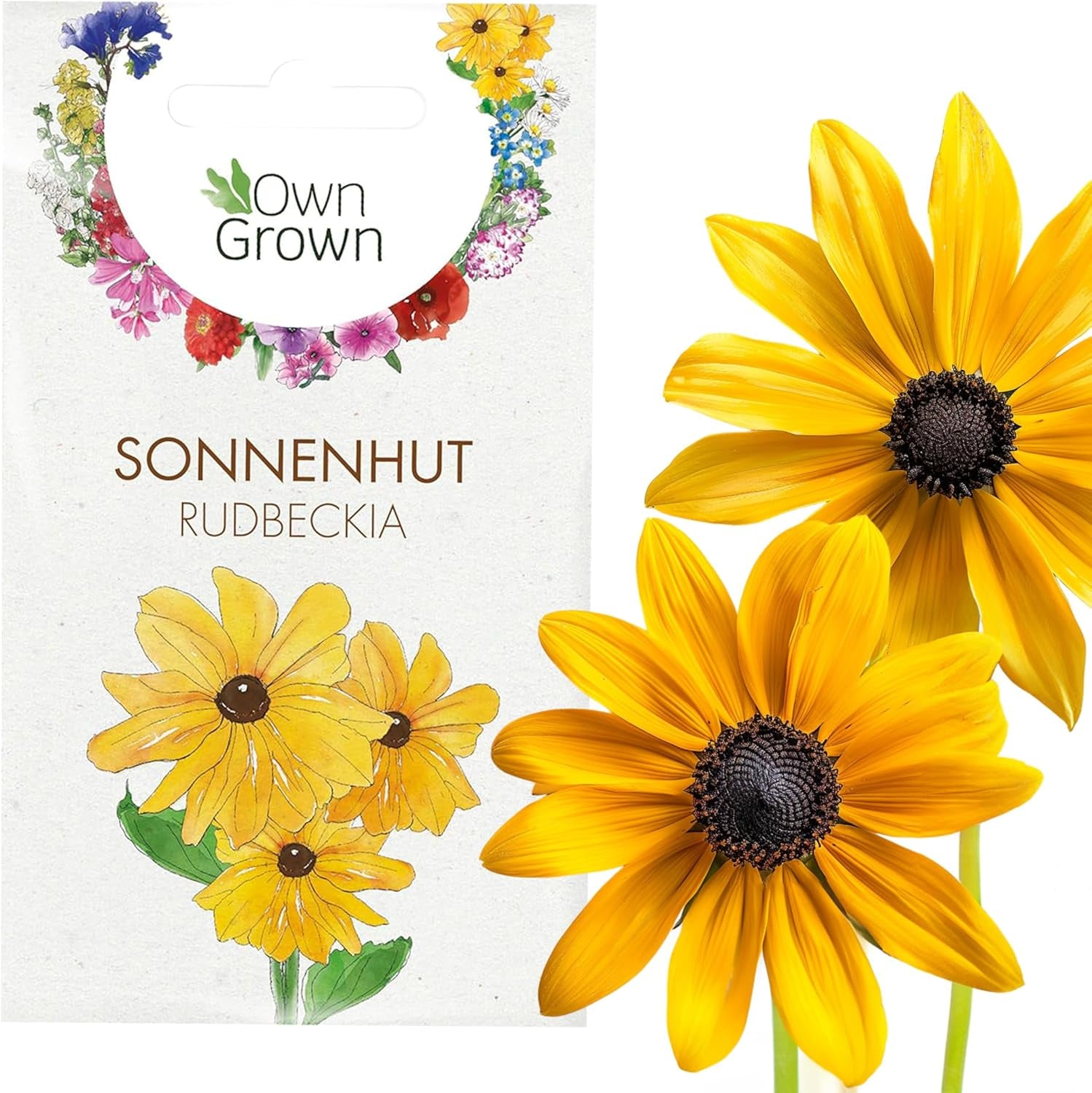 Petuniensamen: Premium-Petuniensamen für rund 400 Petunienpflanzen – Wunderschöne Petuniensamen für Balkon- und Gartenpflanzen – Blumensamen – Kriechpetuniensamen – Balkonblumen von OwnGrown