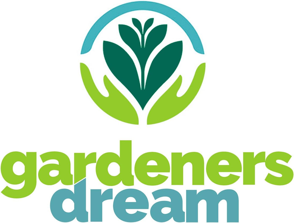 Gärtnertraum: 4 echte Tillandsia-Pflanzen – 4 echte Tillandsia-Luftpflanzen – Terrarienpflanzen – dekorative Terrarienpflanzen – luftreinigende Zimmerpflanzen – dekorative Pflanzen – echte Pflanzen