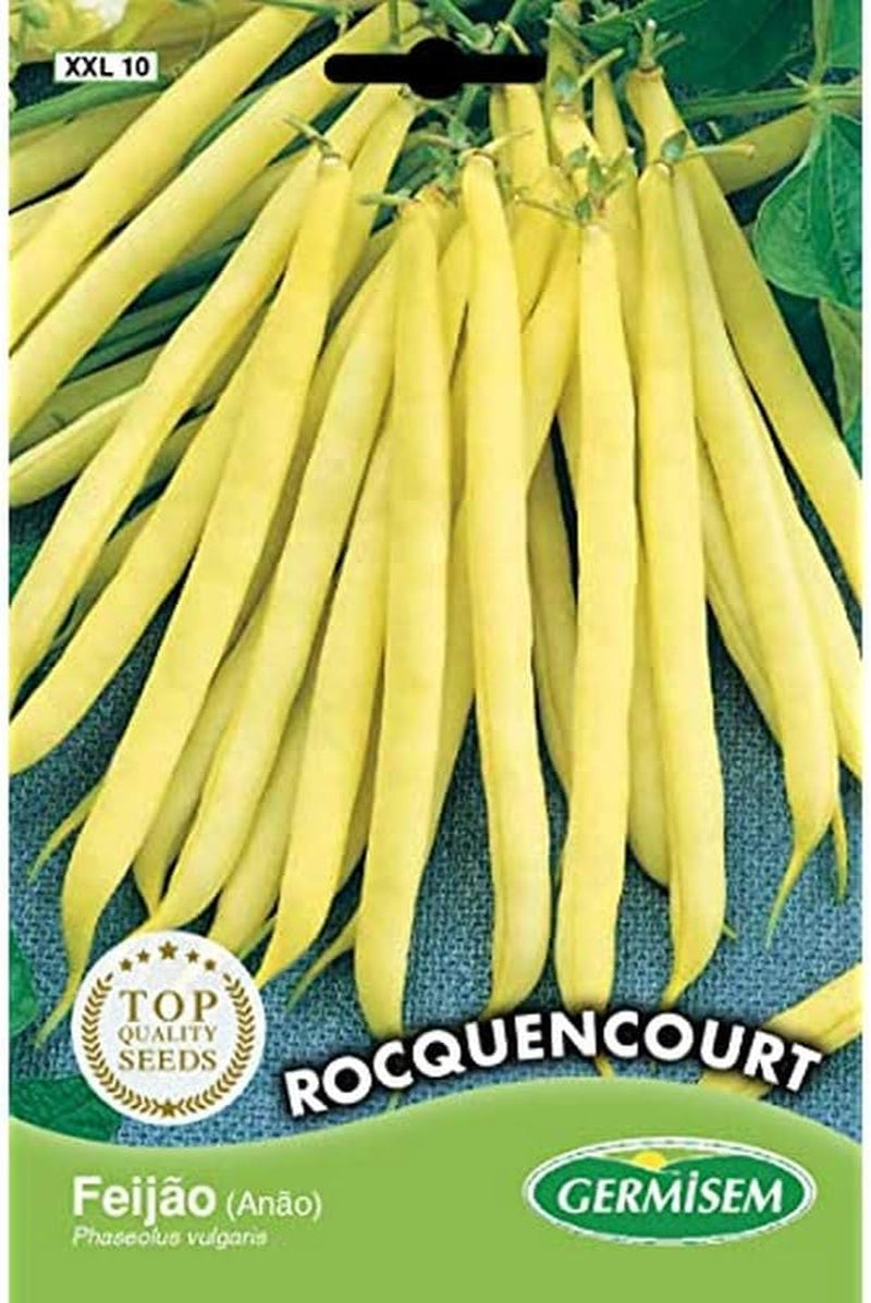 Buschbohnen ROCQUENCOURT