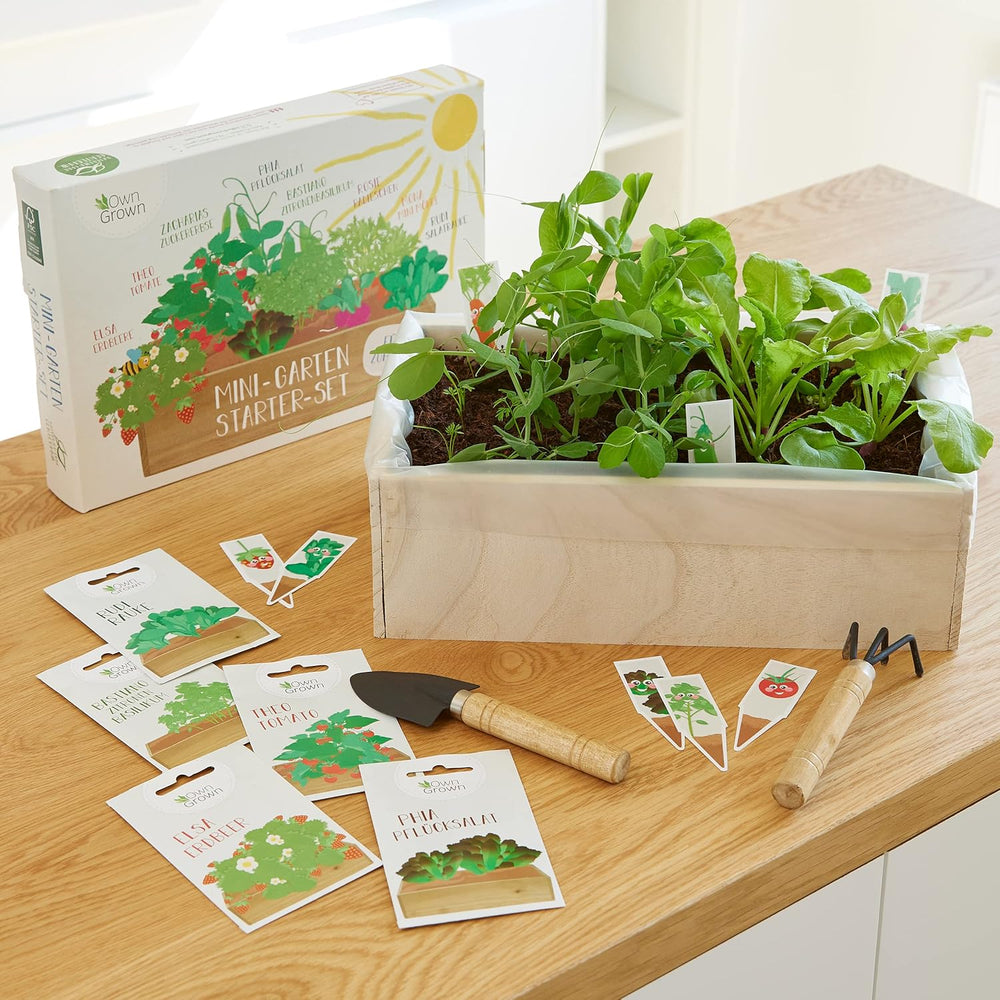 Samen-Anbauset mit Holzkiste und 8 Sorten Pflanzensamen: Gemüse-, Erdbeer- und Kräutersamen-Anbauset für Kinder – Mini-Gewächshaus und Mini-Garten-Starter-Set von OwnGrown