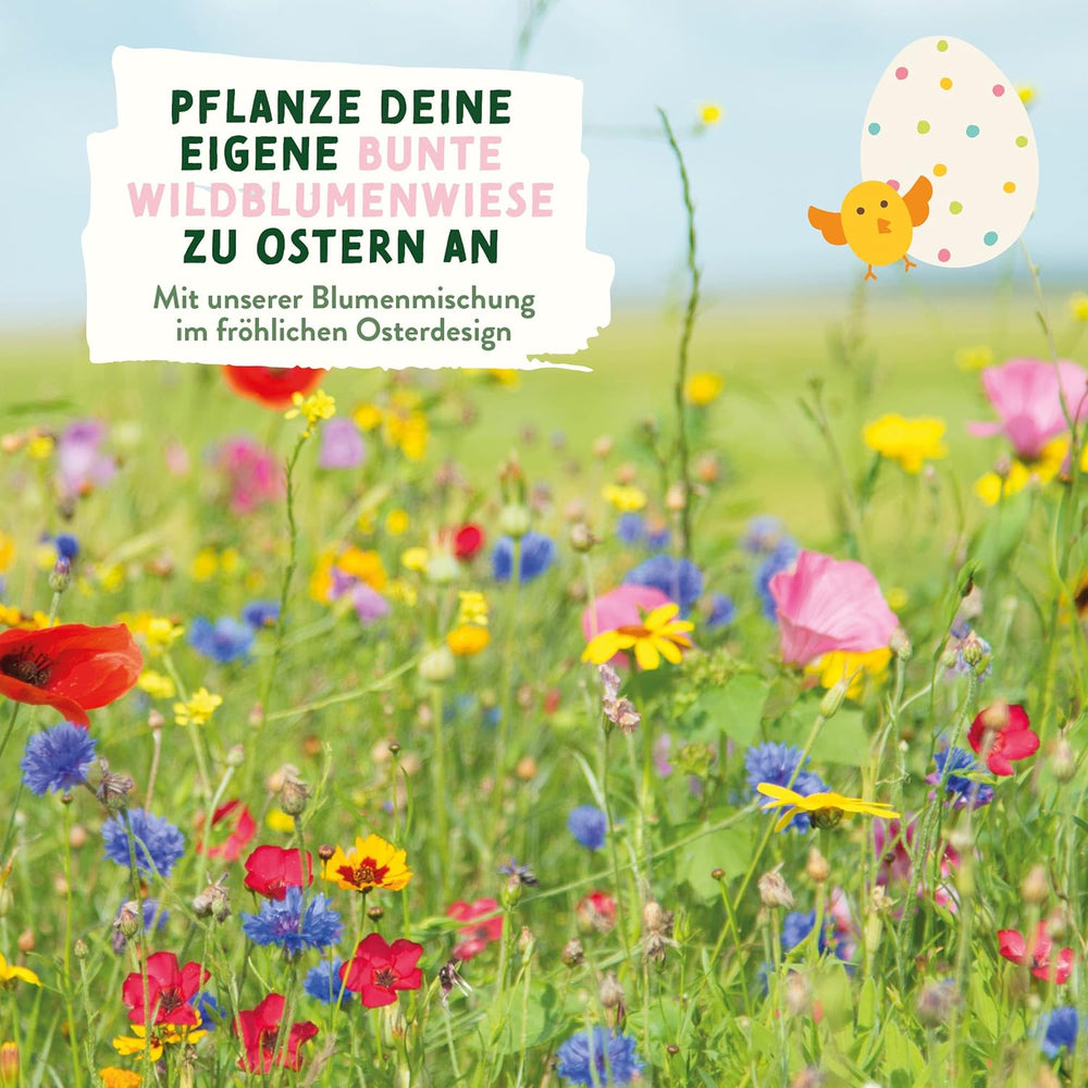 Blumensamen Wildblumenwiese I Blumen Saatgut Als Ostergeschenk, Ostergras Samen I Blumen Samen Oster Geschenk U. Oster Geschenk Kinder I Wildblumen Samen I Blumensamen Tütchen Für Blumenwiese