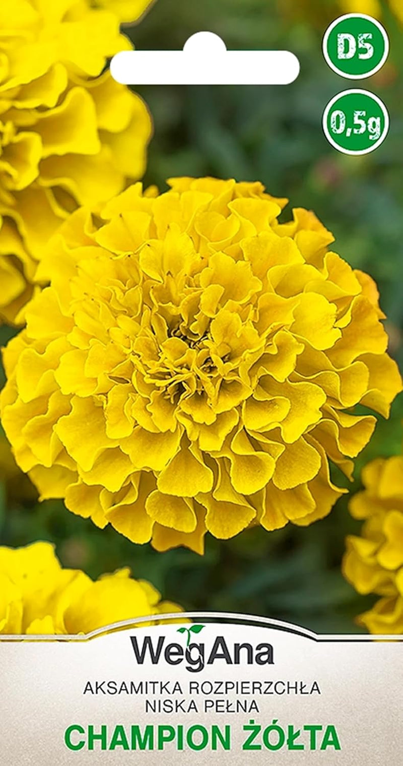 Cosmos Sensation Mix 1g Samen, Cosmos Mix Sommerblumen, Gartenpflanzen Balkonpflanzen, Blumensamen