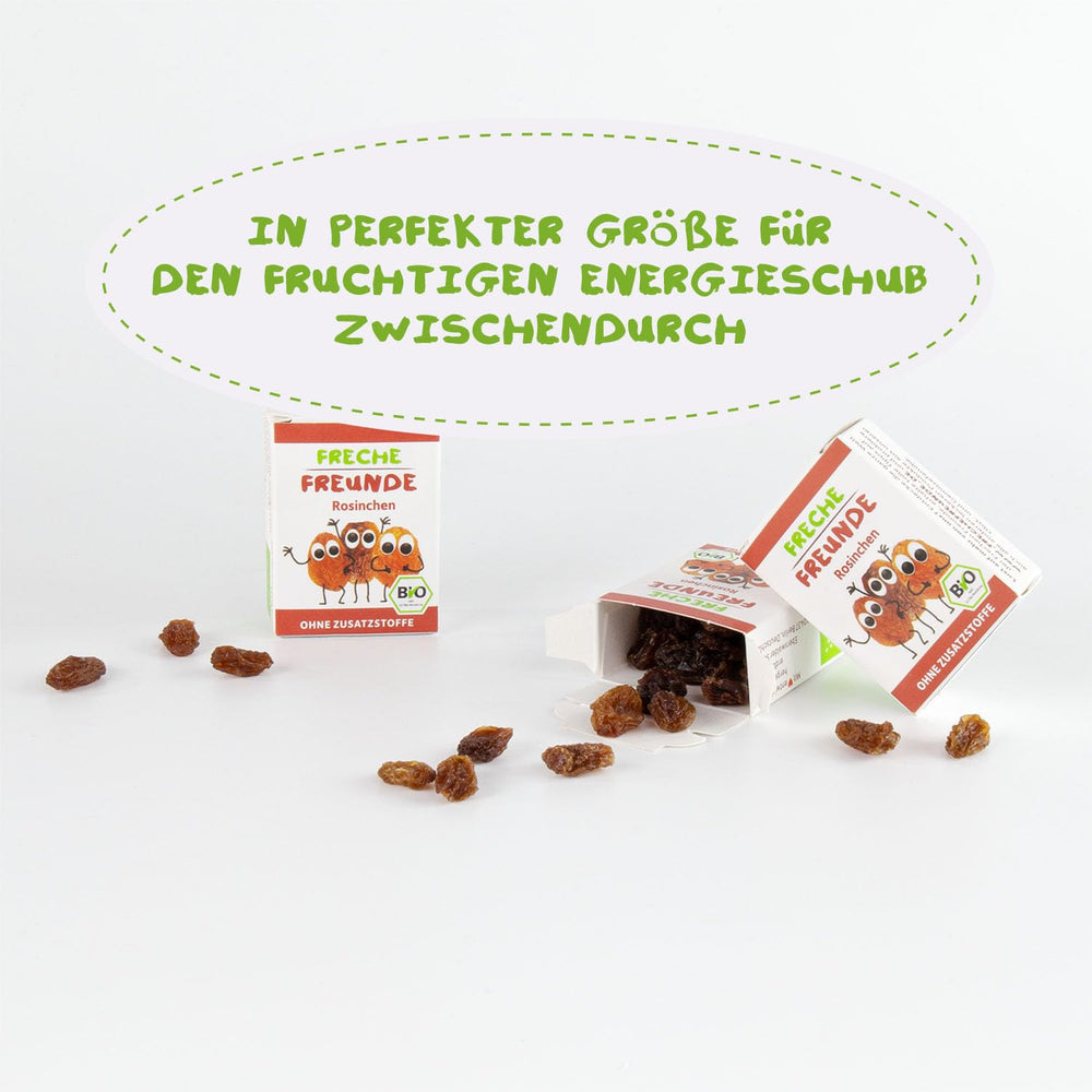 FRECHE FREUNDE Bio Rosinen, Trockenfrüchte ohne Zucker, ohne Zusatzstoffe, ungeschwefelt, in kleinen Snackboxen, Sultaninen für Kinder, 20er Pack, 20 x (3x14g)