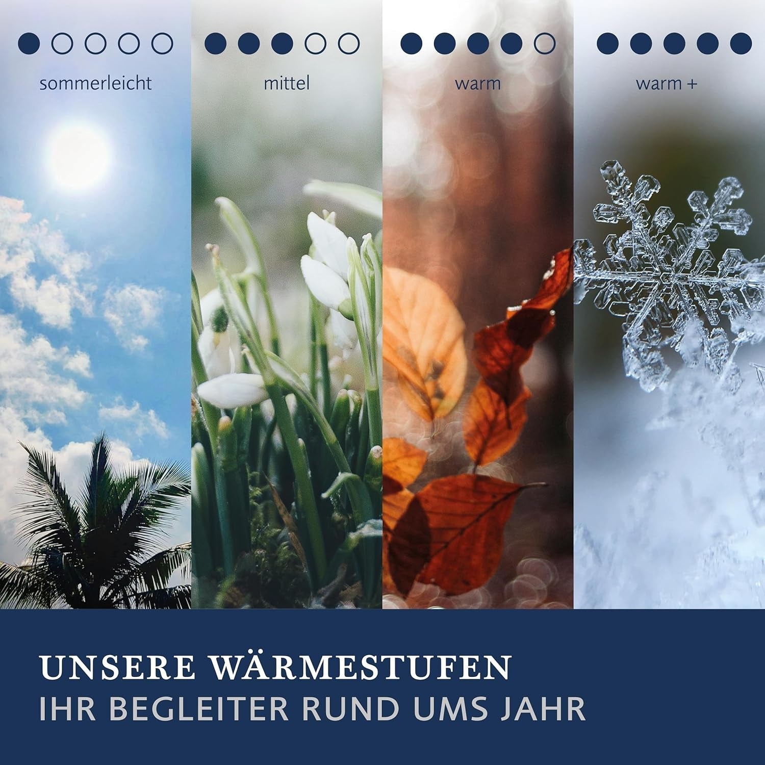 Billerbeck Daunendecke – E04 Gold Edition – Sommerdecke – 135 x 200 cm echte Daunendecke – leichte Sommerwärmestufe Bettdecken und Steppdecken Naty Shop