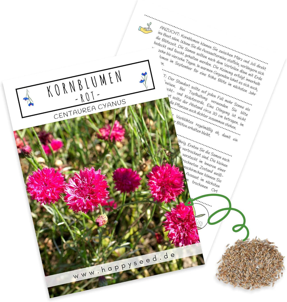 Centaurea cyanus Samen – Wunderschöne und lebendige Blüten mit langer Blütezeit für eine bunte Blumenwiese (Mischung, 1000 Samen, 80 cm)