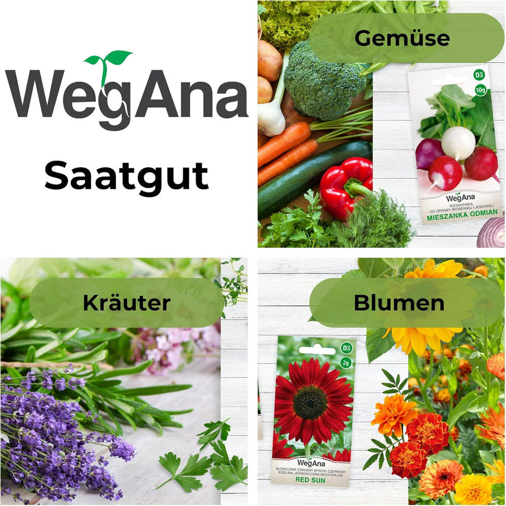 Cosmos Sensation Mix 1g Samen, Cosmos Mix Sommerblumen, Gartenpflanzen Balkonpflanzen, Blumensamen