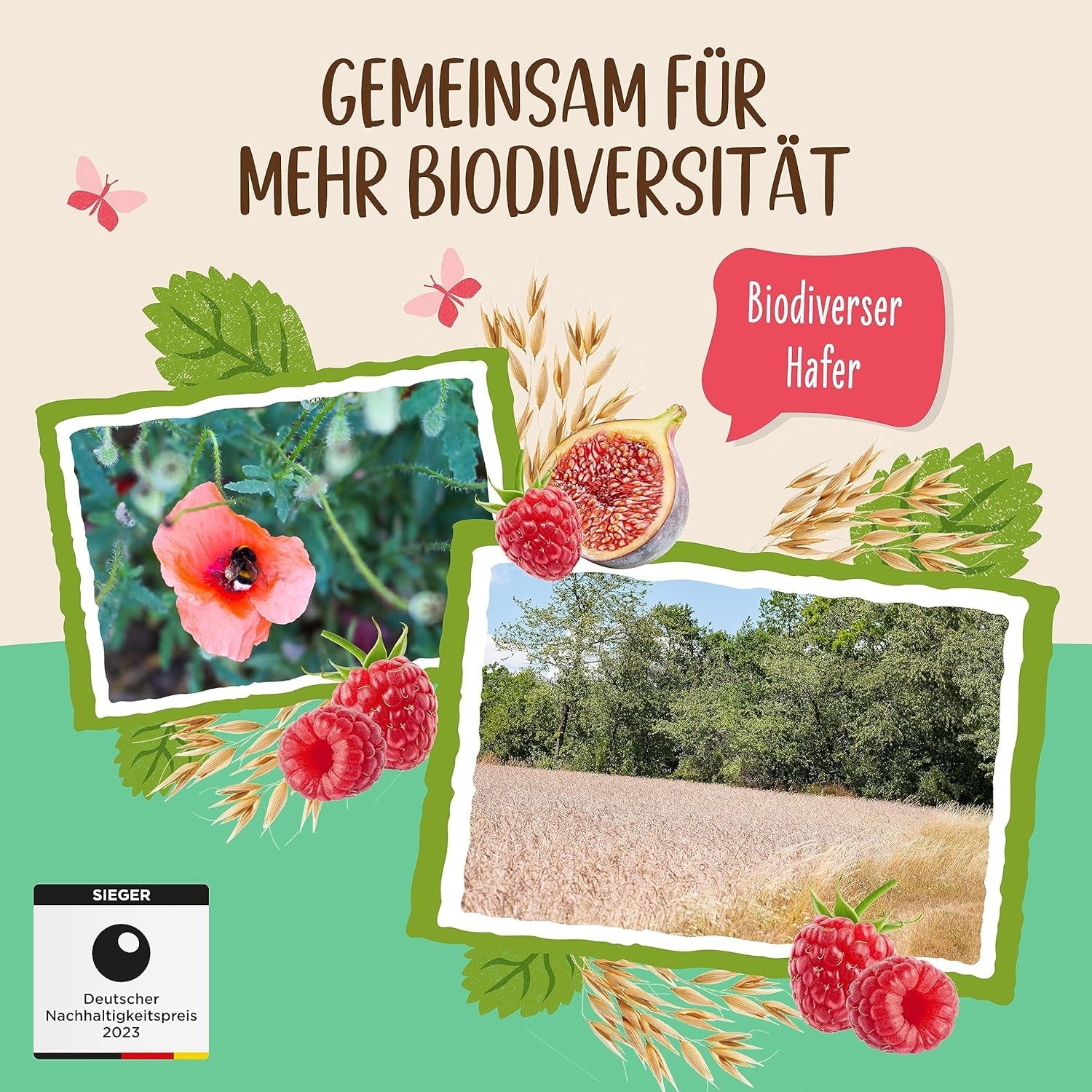 Ungesüßter Allos-Porridge mit Feigen und Himbeeren | Porridge ohne Zucker | Bio-Müsli | Müsli mit Früchten | Haferflocken | Porridge zum Frühstück | Müsli zum Frühstück | Vegan | 6er-Pack (6 x 500 g)