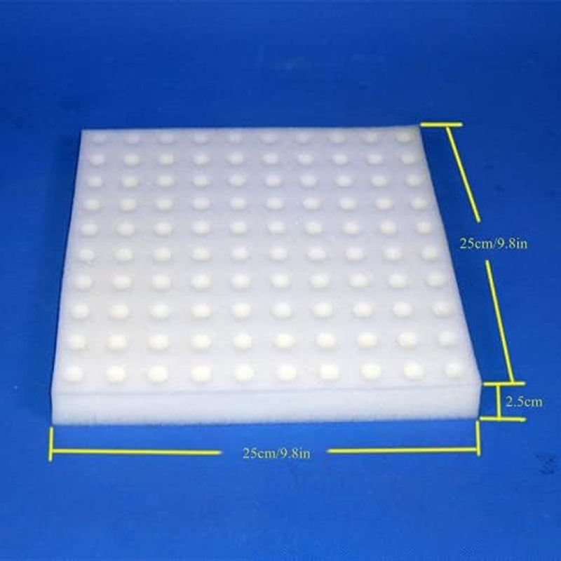 Hydrokultur-Schwamm, 100 Stück, Hydrokultur-Schwämme für den Samenanbau, Gartengerät für kleine Knospenpflanzen oder Setzlinge