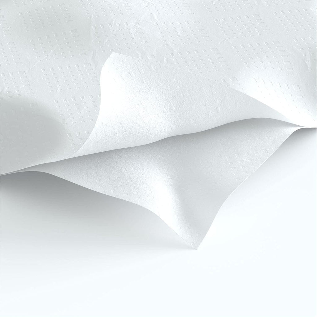 Hârtie igienică Renova Zig-Zag BLK - 7200 foi simple