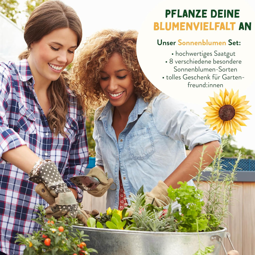 Sonnenblumenkern-Set - 8 Sorten Sonnenblumenkerne - Sonnenblumenkerne im praktischen Pflanzset - Sommerblumensamen, Wildblumenmischung - Blumensamen zum Einpflanzen