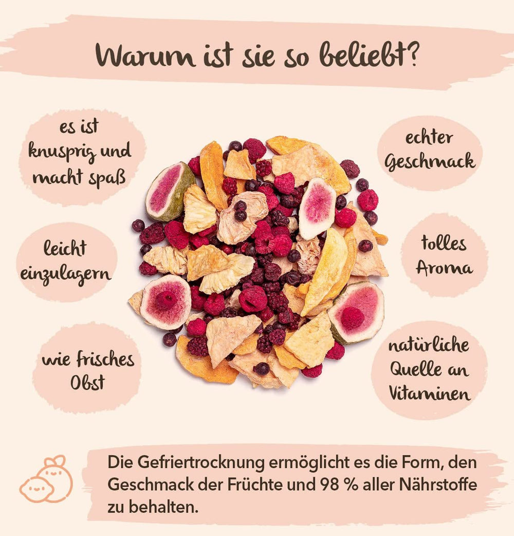 BRIX fructe liofilizate | Amestec natural de fructe uscate 115g | Premiul Great Taste pentru fructe uscate | Fără OMG, fără gluten, vegan, vitamine reținute Produse deshidratate Naty Shop