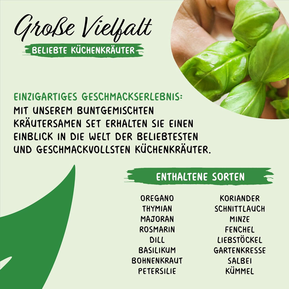 Prademir – Kräutersamen Set aus 16 beliebten Küchenkräutern – Kräuter Anzuchtset mit 100% Natursamen aus Portugal – Kräuter Saatgut aus Oregano, Thymian, Majoran, Rosmarin, Dill, Basilikum, Salbei uvm