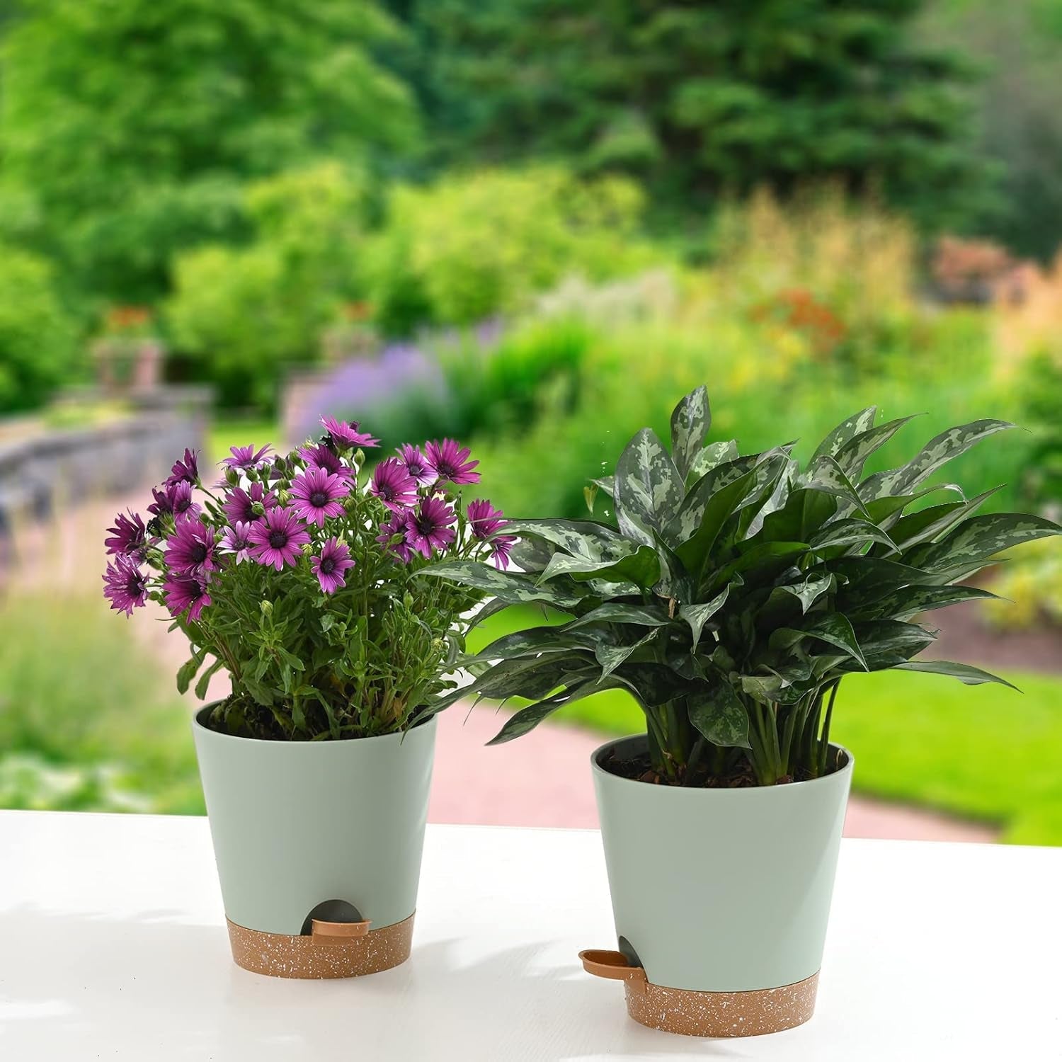 Ghivece de flori, 6 bucăți, 12,7 cm, jardiniere cu auto-udare, drenaj ridicat, ghivece de flori pentru interior și exterior, cu tavă rezervor și margine de udare, jardinieră de grădină, grădină