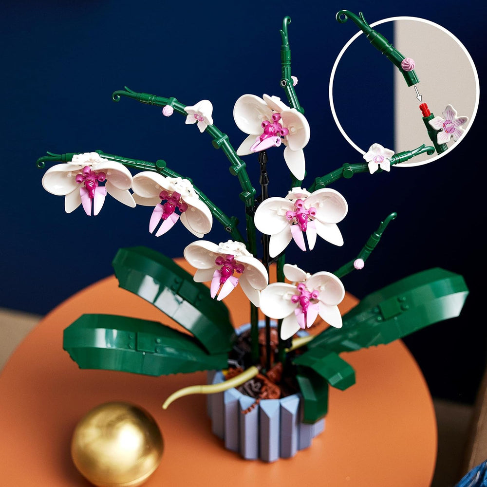 LEGO Botanicals Orchidee – Künstliches Pflanzenset mit weißen und rosa Blumen – Modellbausatz für Erwachsene – Home und Zimmer-Deko – Botanik Kollektion – Geschenke für Frauen und Männer 10311