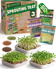 Bio Sprossen Anzuchtschale - Kressesieb 3Er Set - Enthält Keimschale Und Sprossensamen (Kresse, Ur-Brokkoli & Radieschen)