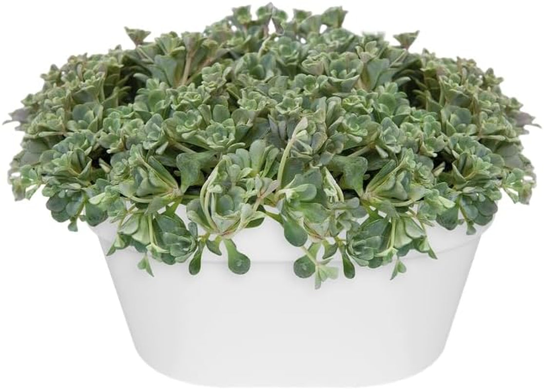 Jardinieră de perete elho Loft Urban 40 - Jardinieră pentru balcon și utilizare în exterior - Ø 39,3 x H 18,8 cm - Alb/Alb