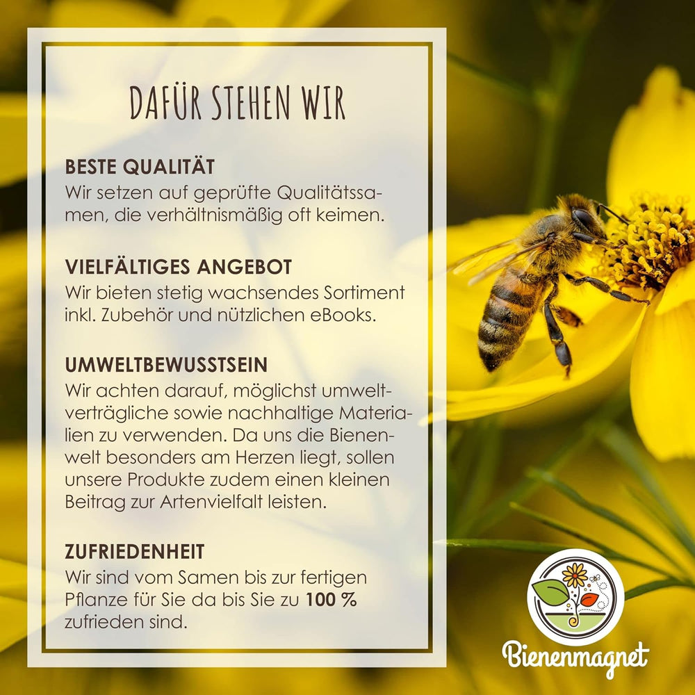 Samenbomben Selber Machen Für Eine Bunte Bienenweide - Bienenfreundlicher Seedbomb Bausatz Für 20-30 Seedbombs
