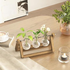 Stație de propagare hidroponică Bamworld cu suport din lemn – 3 vaze din sticlă pentru creșterea plantelor acvatice și decorarea casei