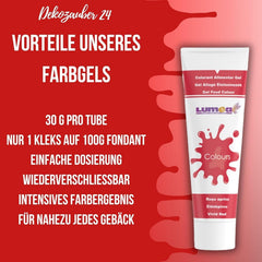 Dekozauber24 Colorant alimentar roșu, gel, 30g, vegan, fără zahăr, foarte concentrat, colorant alimentar roșu pentru fondant, cremă de unt, băuturi și multe altele
