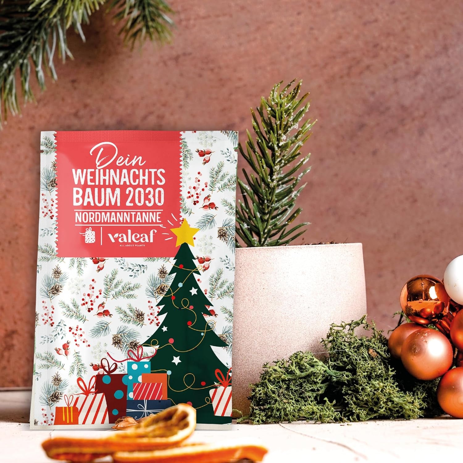 Weihnachtsbaum 2030 – Nordmann Weihnachtsbaumsamen zum Pflanzen eines Weihnachtsbaumes, ideal als Wichtelgeschenk zu Weihnachten